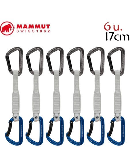 Pack 6 Workhorse Keylock 17 Cm (Grey / Alpine Calamin) - sangles de sport express - Mammut